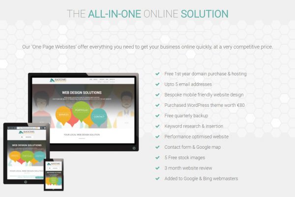 Offer-includes One Page Website