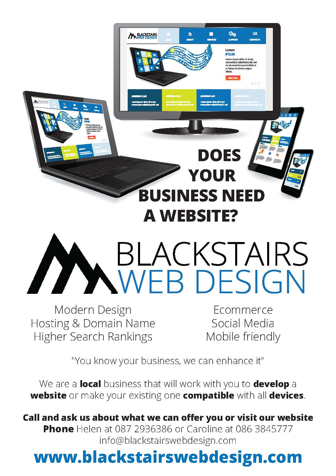 Blackstairs Web Design Flyer January 2015