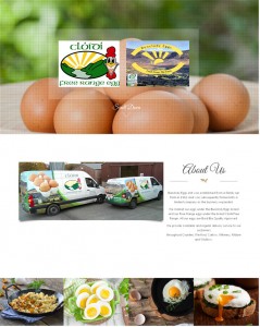Bunclody Eggs Web Design