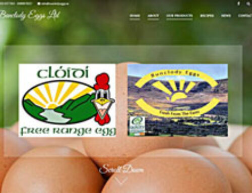 Bunclody Eggs Ltd