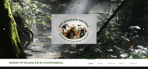 BNS Wildlife Control