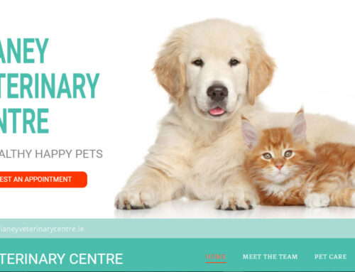 Slaney Veterinary Centre