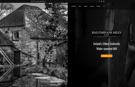 Ballyminane Mills - Web Design Wexford