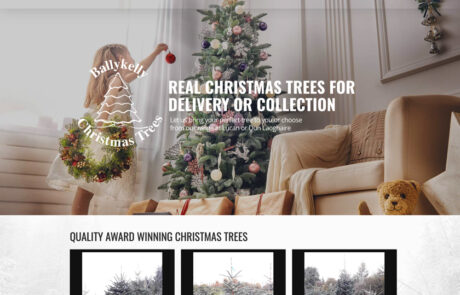 Ballykelly Christmas Trees